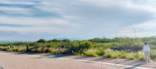 Terrenos Ciudad Maderas Corregidora - Querétaro